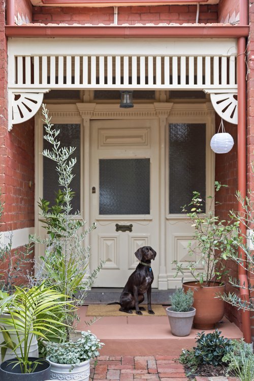 25_Avoca_Ave_054